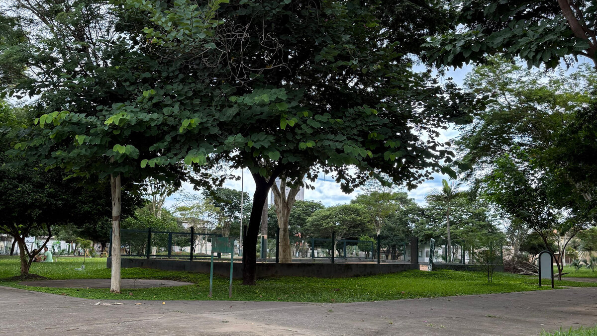 Foto de Jardim Maringá